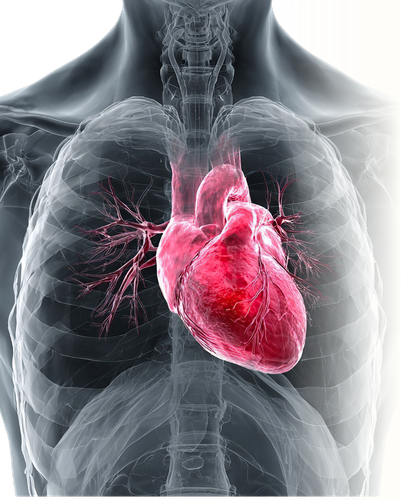 Default Image Mobile