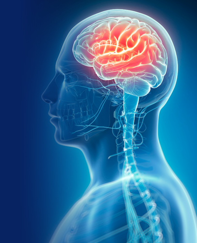 Default Image Mobile