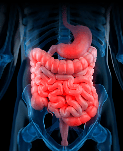 Default Image Mobile