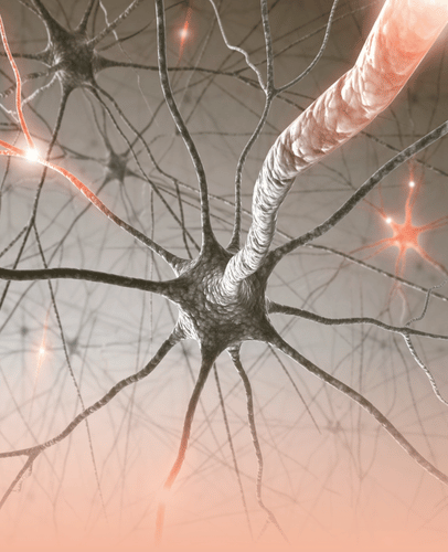 Default Image Mobile