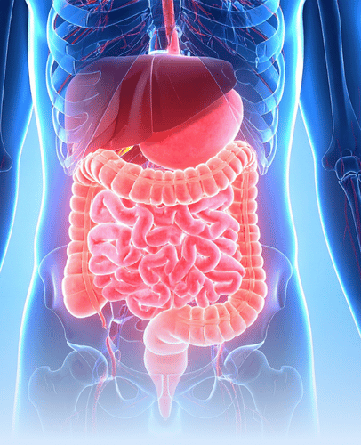 Default Image Mobile