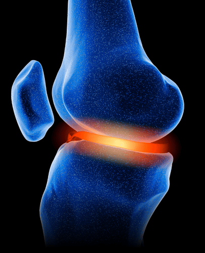 Default Image Mobile