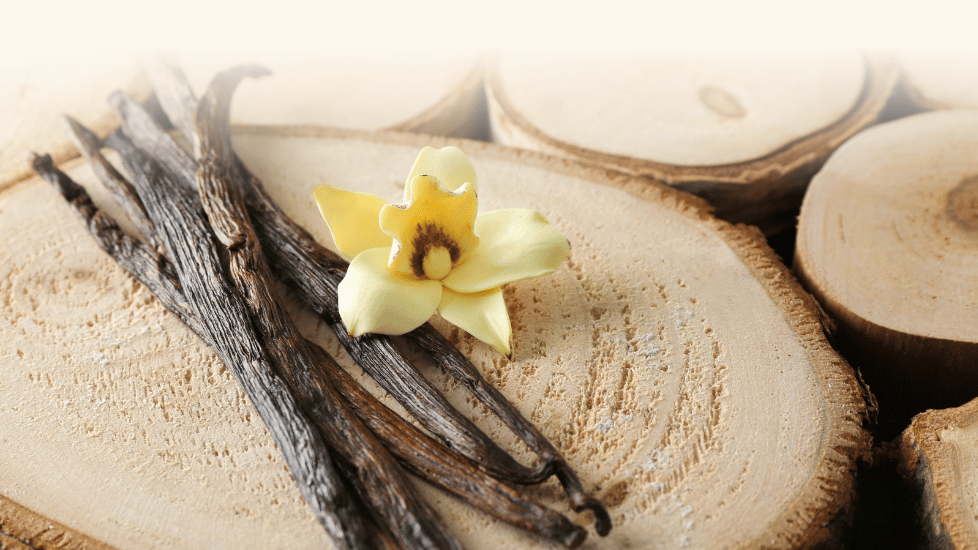 Default Image Mobile