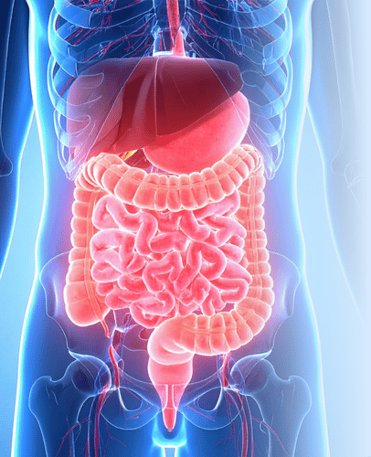 Default Image Mobile